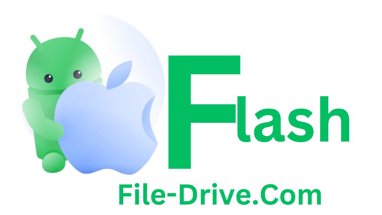 Flash File Drive